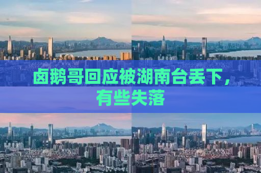 卤鹅哥回应被湖南台丢下，有些失落